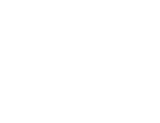 No Agenda Show